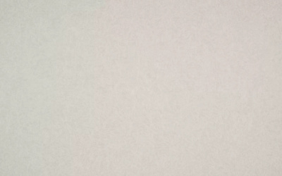 Обои виниловые на флизелиновой основе