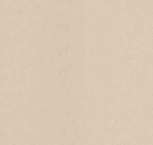BN International Tailor 2 4249358 для кухни для спальни для гостиной для коридора для кабинета для загородного дома для комнаты для прихожей капучино