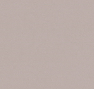 Cassanie Simply SP019 для кухни для спальни для гостиной для коридора для кабинета для загородного дома для комнаты для прихожей розовый