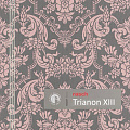 Trianon XIII