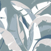 AF2176-COL1