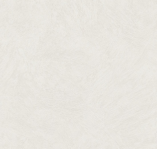 A.S. Creation Sylvana 8921-33 для кухни для спальни для гостиной для коридора для кабинета для загородного дома для комнаты для прихожей белый светло-серый