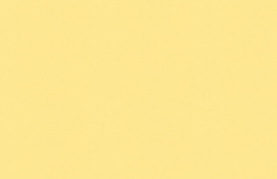 Обои виниловые на флизелиновой основе