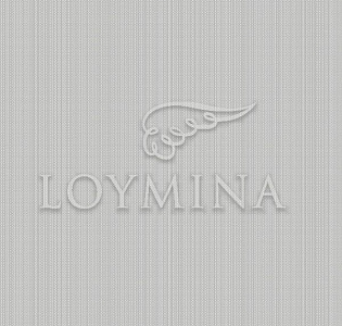 Loymina Jetset JET2 013 для спальни для гостиной для кабинета для загородного дома для комнаты для прихожей светло-серый