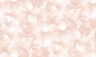 Обои виниловые на флизелиновой основе