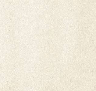 Erismann Pablo 60462-03 для кухни для спальни для гостиной для коридора для кабинета для загородного дома для комнаты для прихожей кремовый