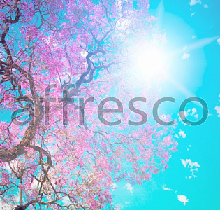Affresco Фрески и фотообои ID13496