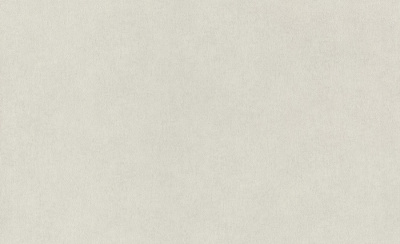 Обои виниловые на флизелиновой основе