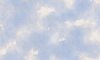 E0701 RA