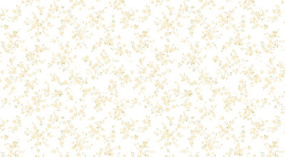 Обои виниловые на флизелиновой основе