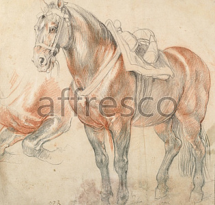 Affresco Фрески и фотообои ID136560