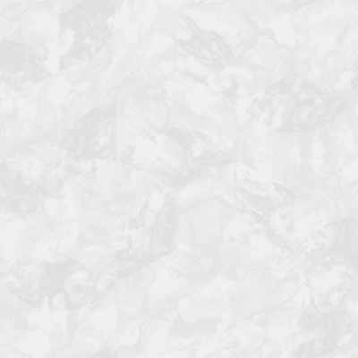Обои виниловые на флизелиновой основе