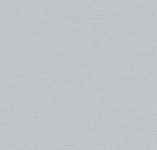 BN International Atelier BN 219509 для кухни для спальни для гостиной для коридора для кабинета для загородного дома для комнаты для прихожей серый светло-серый
