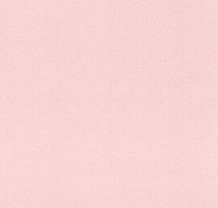 Rasch Textil Petite Fleur 4 289021 для спальни для гостиной для загородного дома для комнаты розовый