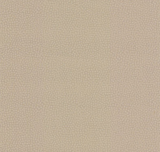 Fine Decor Evolve DL23039 для кухни для спальни для гостиной для загородного дома для комнаты песочный