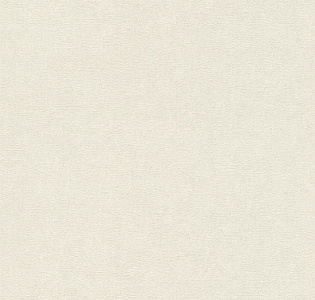 Rasch Excellent RH554410 для кухни для спальни для гостиной для коридора для кабинета для загородного дома для комнаты для прихожей белый светло-серый