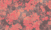 B1507 RW
