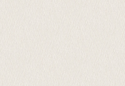 Обои виниловые на флизелиновой основе