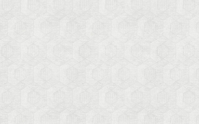 Обои виниловые на флизелиновой основе