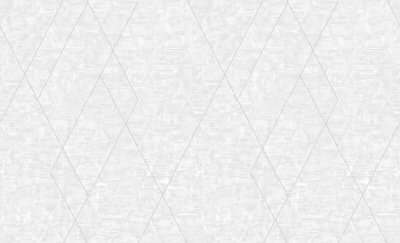 Обои виниловые на флизелиновой основе