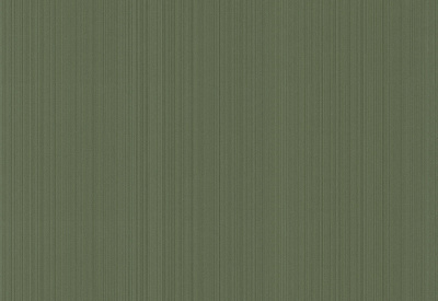 Обои виниловые на флизелиновой основе