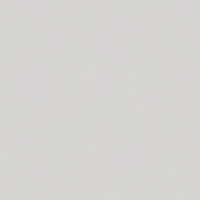 Обои виниловые на флизелиновой основе