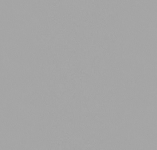 Grandeco Spring R149023 для кухни для спальни для гостиной для коридора для кабинета для загородного дома для комнаты для прихожей серый светло-серый