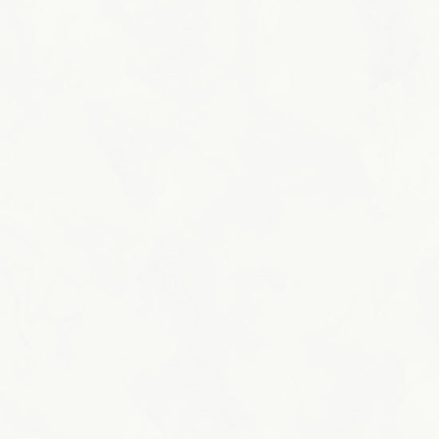 Обои виниловые на флизелиновой основе