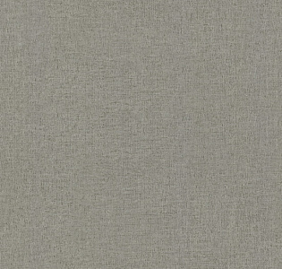 Decori&Decori Zen 72911 для кухни для спальни для гостиной для коридора для кабинета для загородного дома для комнаты для прихожей серый светло-серый