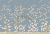 aff 708 vel 498