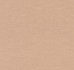 Rasch Allegretto 687576 для кухни для спальни для гостиной для коридора для кабинета для загородного дома для комнаты для прихожей бежевый персиковый