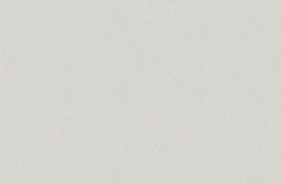 Обои виниловые на флизелиновой основе