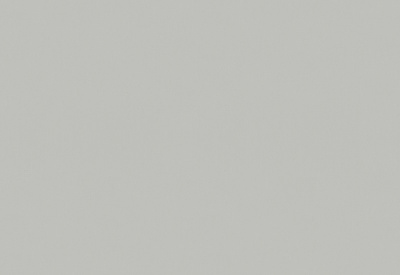 Обои виниловые на флизелиновой основе