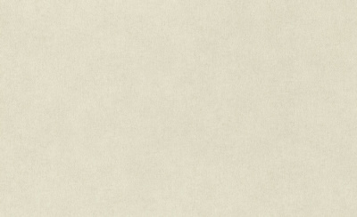 Обои виниловые на флизелиновой основе