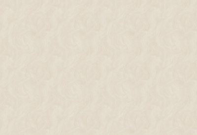 Обои виниловые на флизелиновой основе