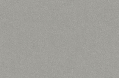 Обои виниловые на флизелиновой основе