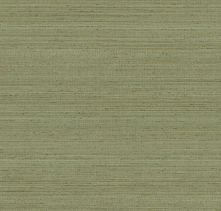 Jannelli&Volpi 602 Jaipur 6861 для кухни для спальни для гостиной для коридора для кабинета для загородного дома для комнаты для прихожей зеленый фисташковый