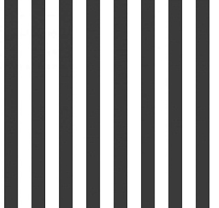 Aura Smart Stripes G23151 для кабинета для загородного дома для комнаты для прихожей черно-белый