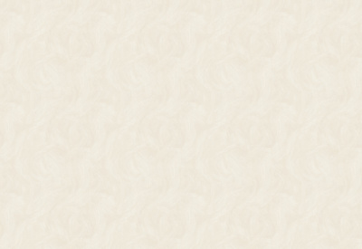 Обои виниловые на флизелиновой основе