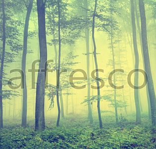Affresco Фрески и фотообои ID13481