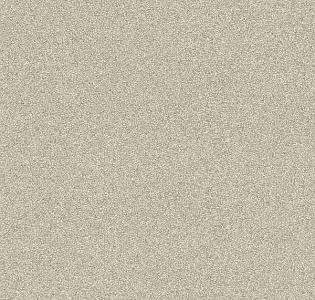 Rasch Passepartout 606645 для кухни для спальни для гостиной для коридора для кабинета для загородного дома для комнаты для прихожей коричневый