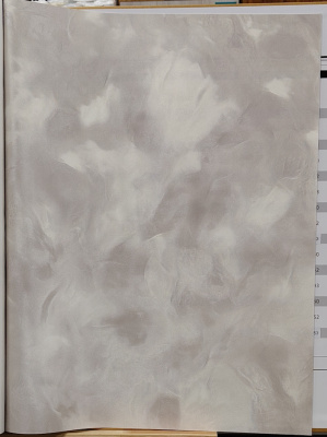 Обои виниловые на флизелиновой основе