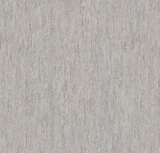 Erismann Code Nature ER12107-10 для кухни для коридора для кабинета для загородного дома для комнаты для прихожей серый светло-серый золотой