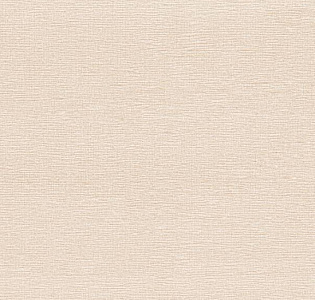 Артекс Dieter Langer Fusion 10442-02 для кухни для спальни для гостиной для коридора для кабинета для загородного дома для комнаты для прихожей бежевый