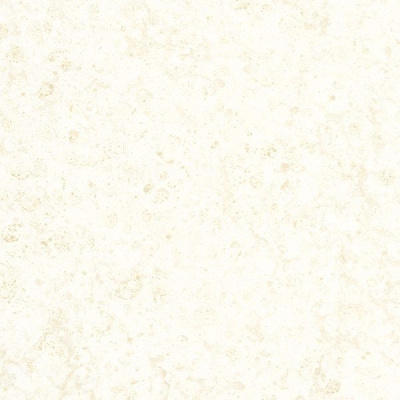 31026