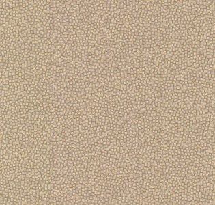 Fine Decor Evolve DL23040 для кухни для спальни для гостиной для загородного дома для комнаты песочный
