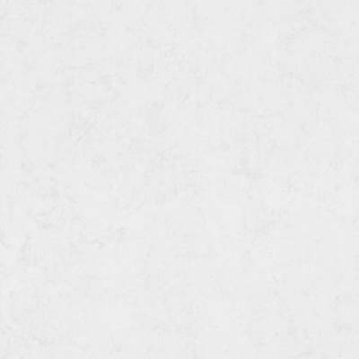 Обои виниловые на флизелиновой основе