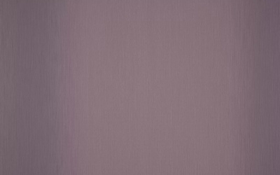 Обои виниловые на флизелиновой основе