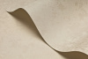 R221012