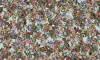 B8204 RX